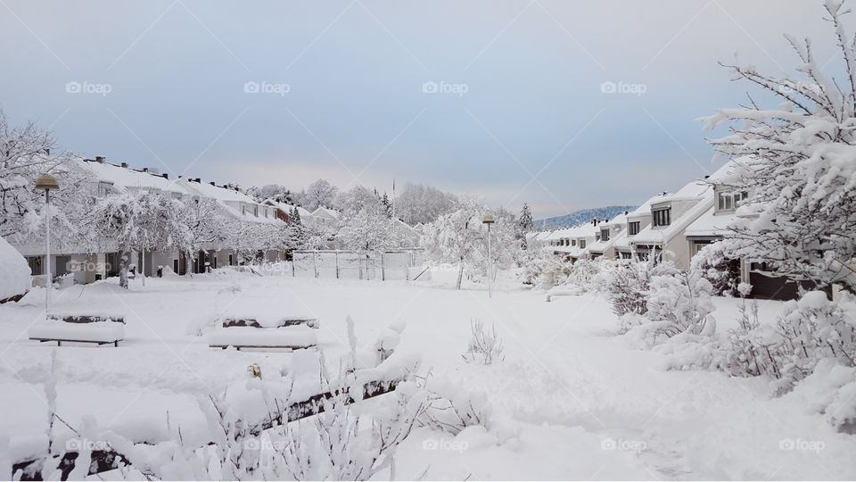 Snowy winter - residential area