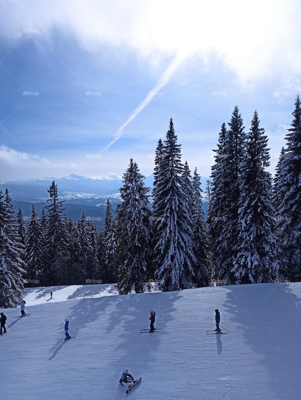 Battle: Fall Colors vs. Winter Whiteness!