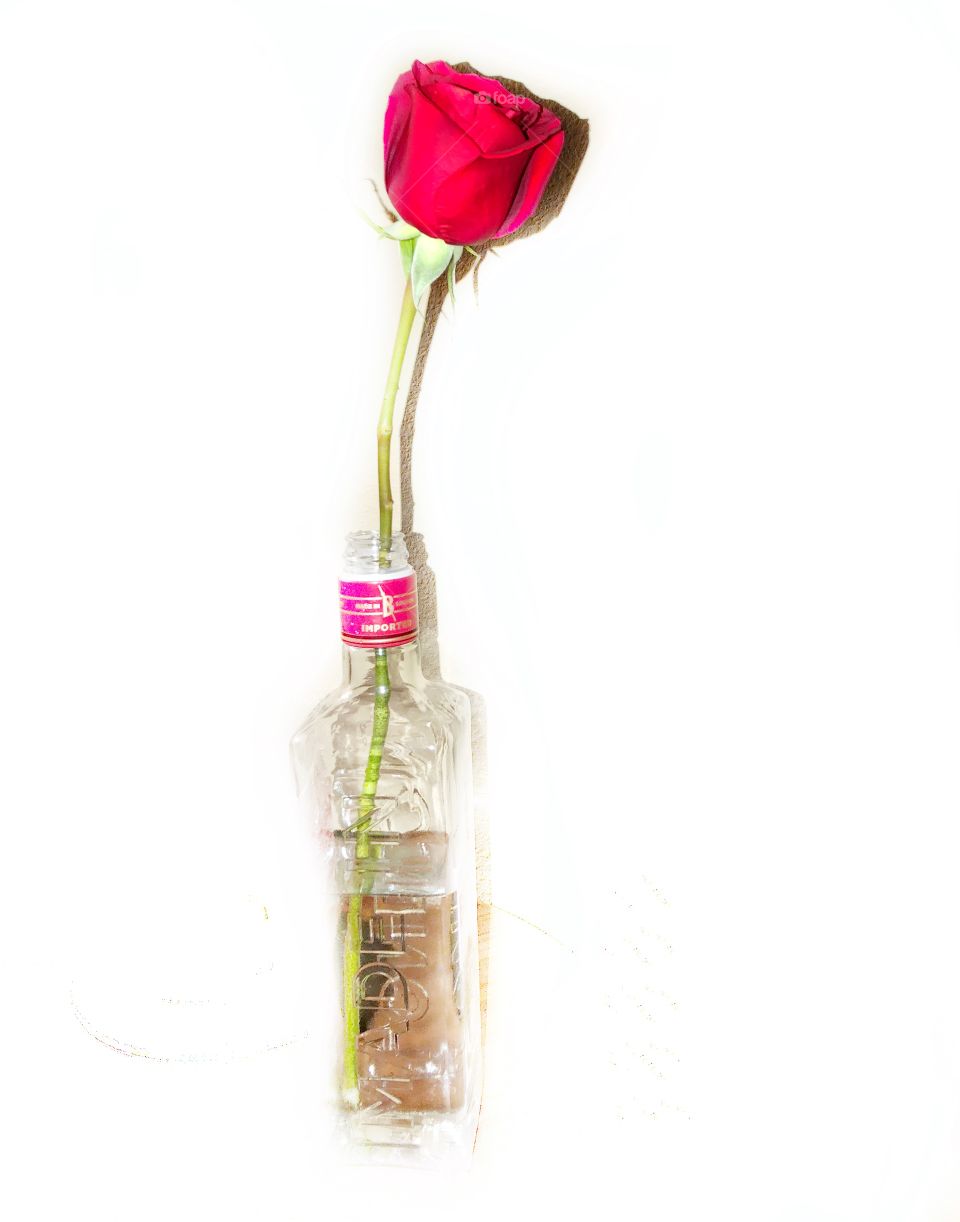 Rose in glass bottle