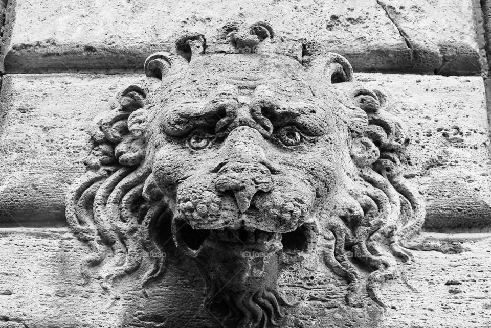 Lion on wall