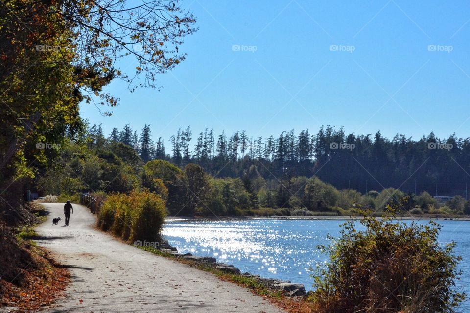 Early fall walk by the water