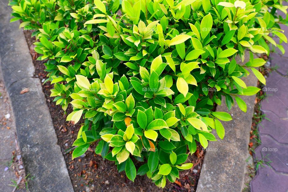 a small canopy in the ground On the side is a triangular walkway.