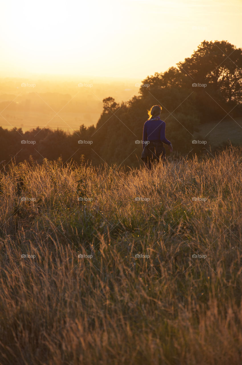 sunset in the fields