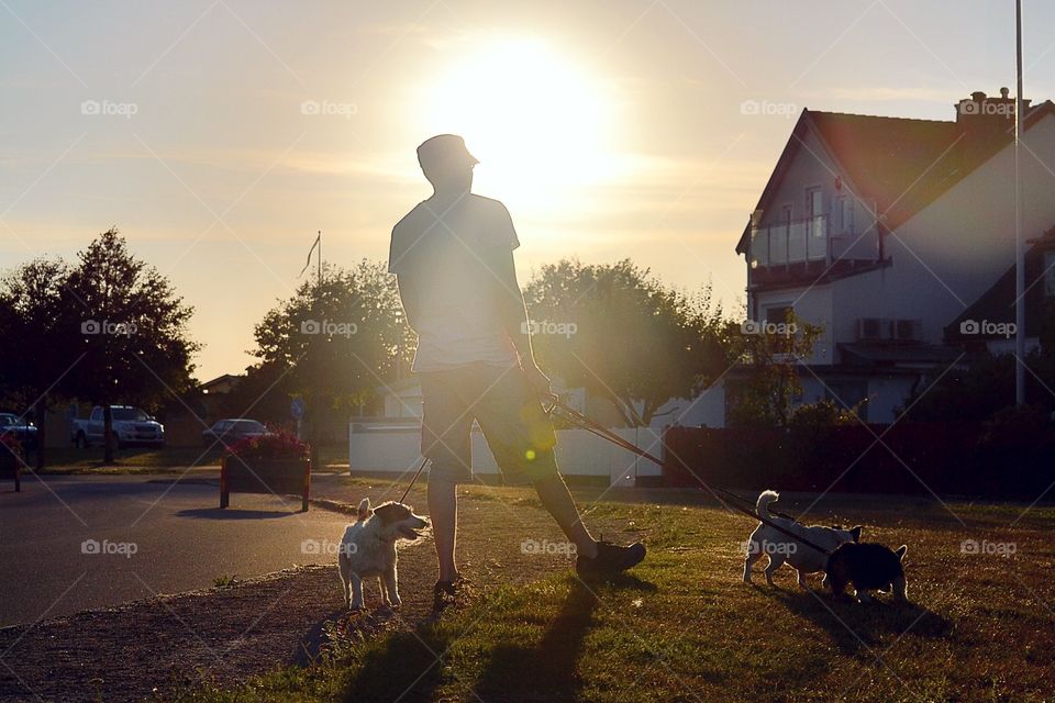 Man out with his dogs