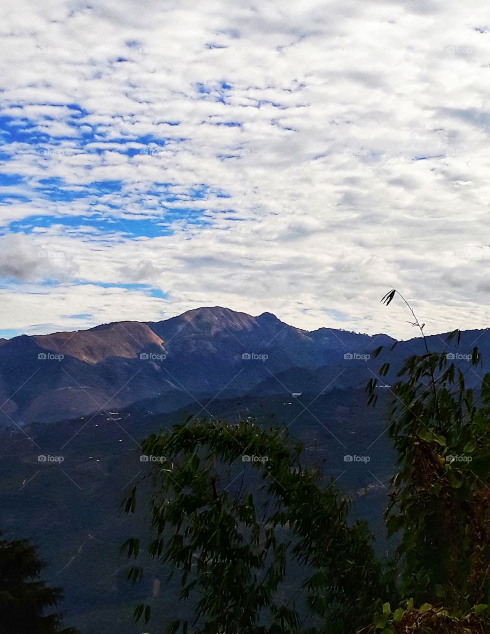 Shirui mountain, one of the best places to visit in Manipur, India.