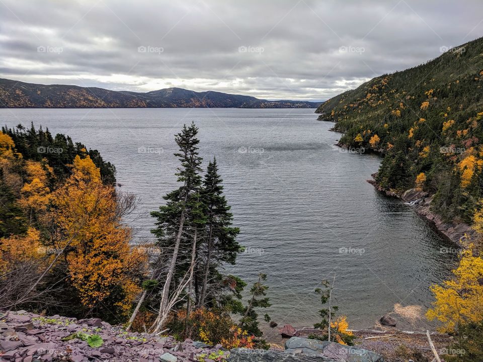 Fall Colours on the Mountains of Trinity Bay
