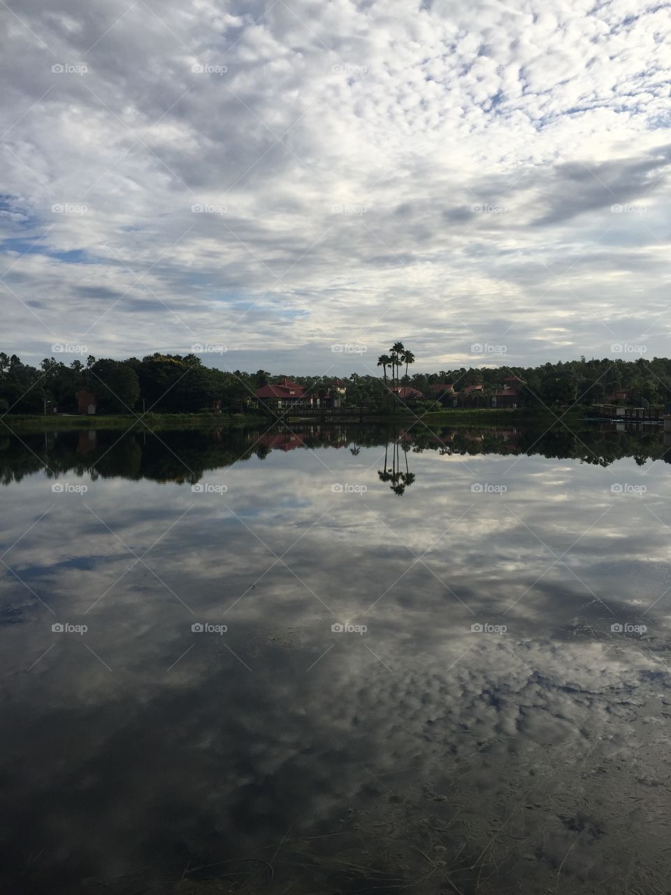 Reflections in the morning
