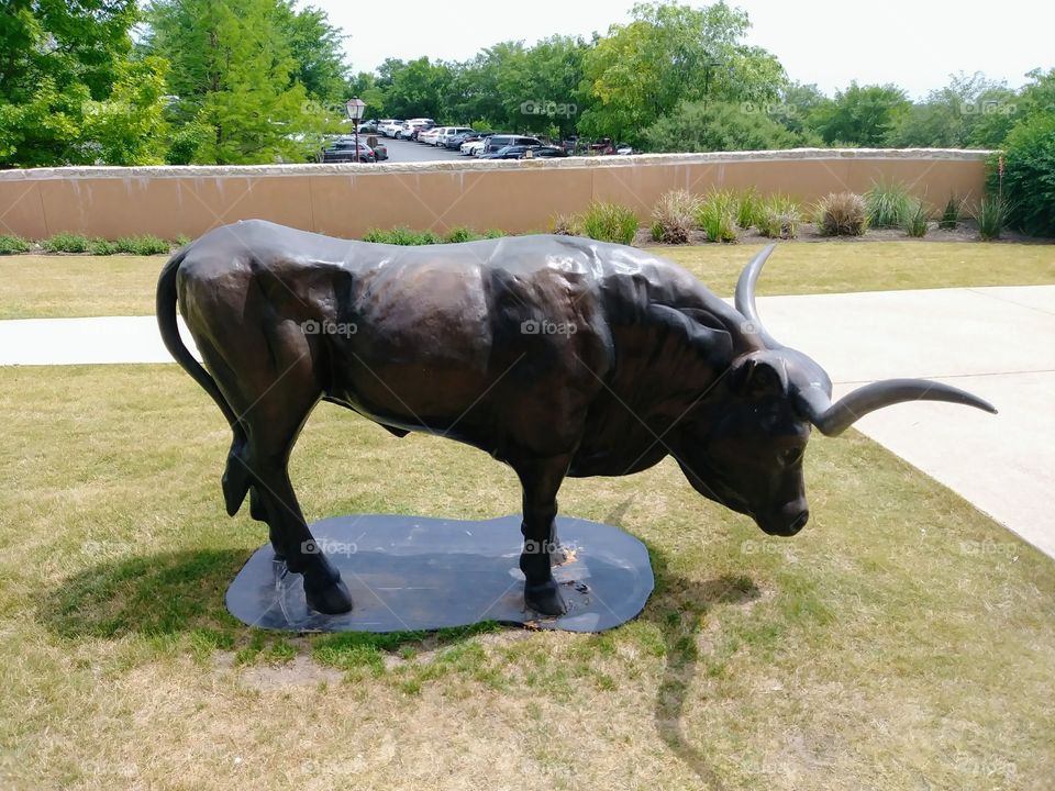 The Bull