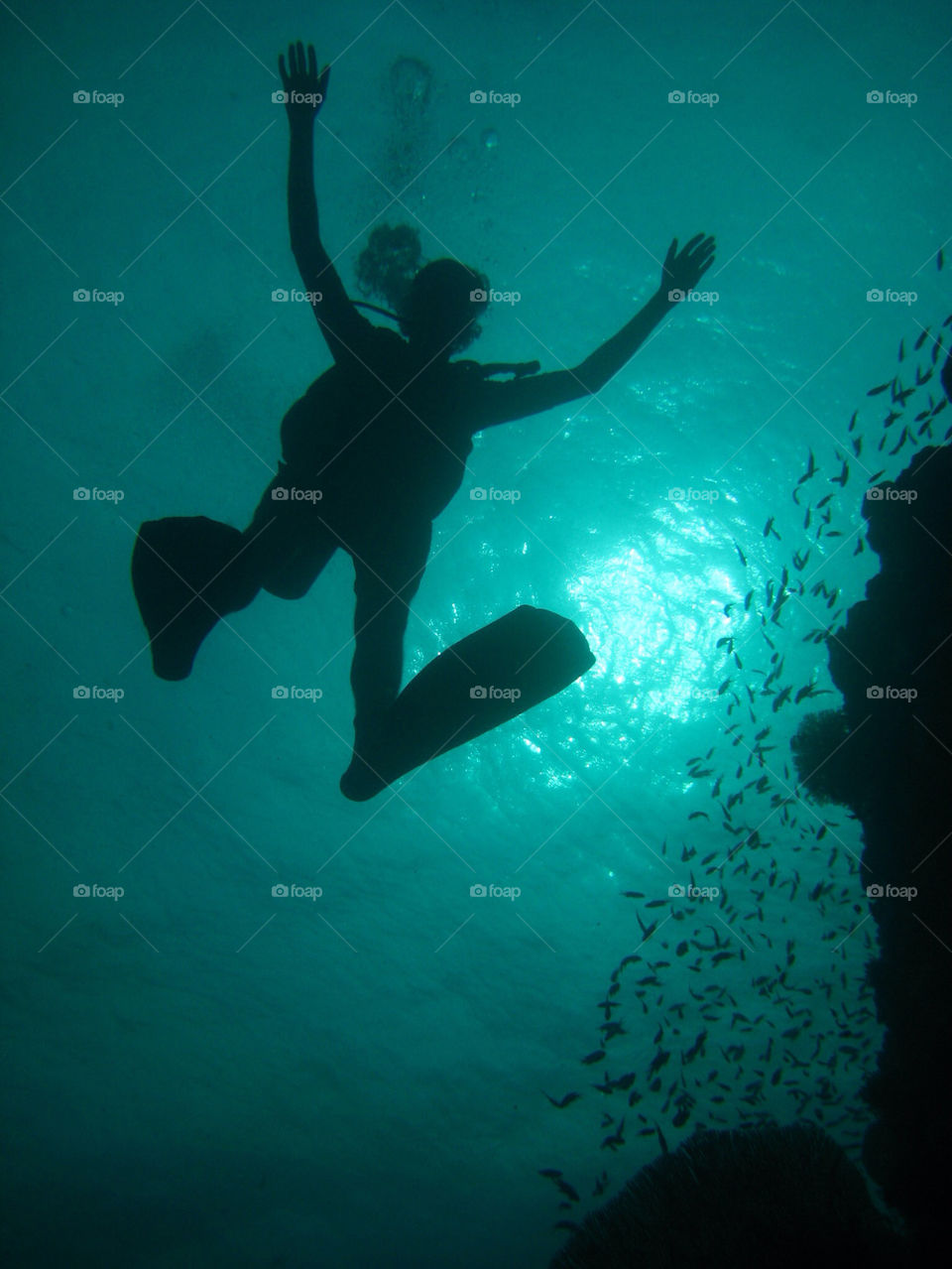 ocean thailand diving diver by idanos