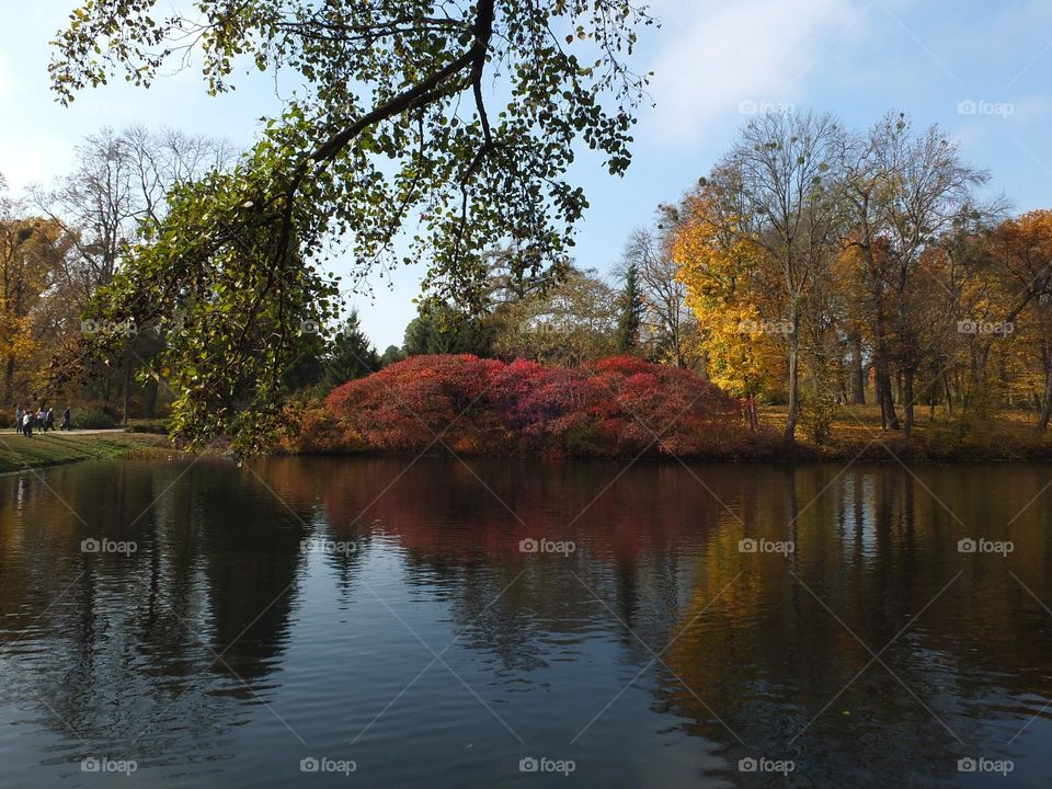 Fall Wins! (Bonus Exclusive Mission)