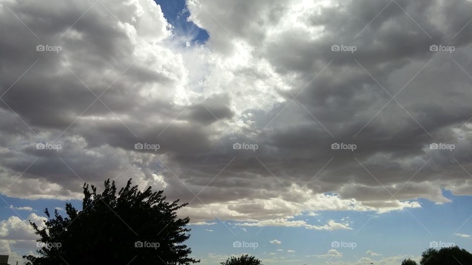 Waiting for the storm