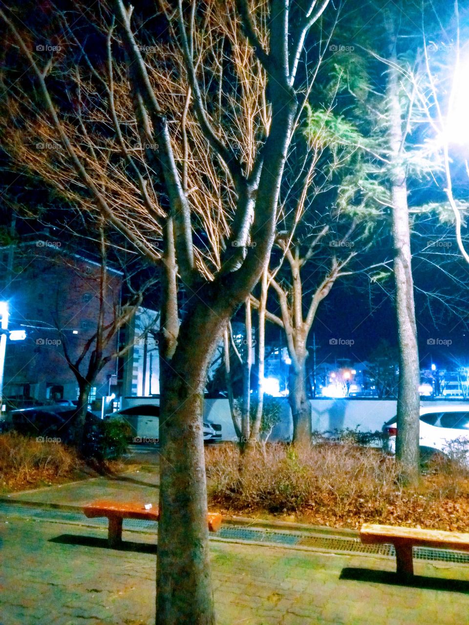 The country place at night.
It's too much different than the cities.
its still 6:30 & the places will be quite as midnight.
not much people on the street.
no laughing sound.
no lots of cars on the road.
just this, an empty space with the lonely trees