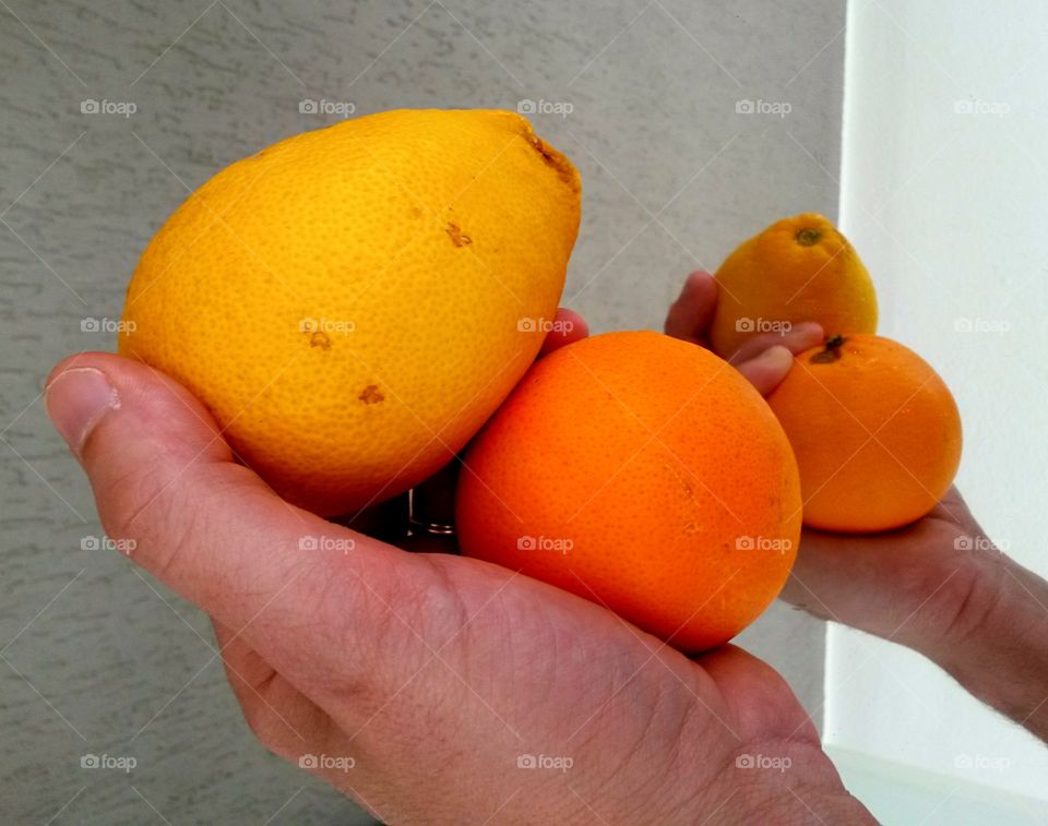 Mirror reflection of citrus fruit