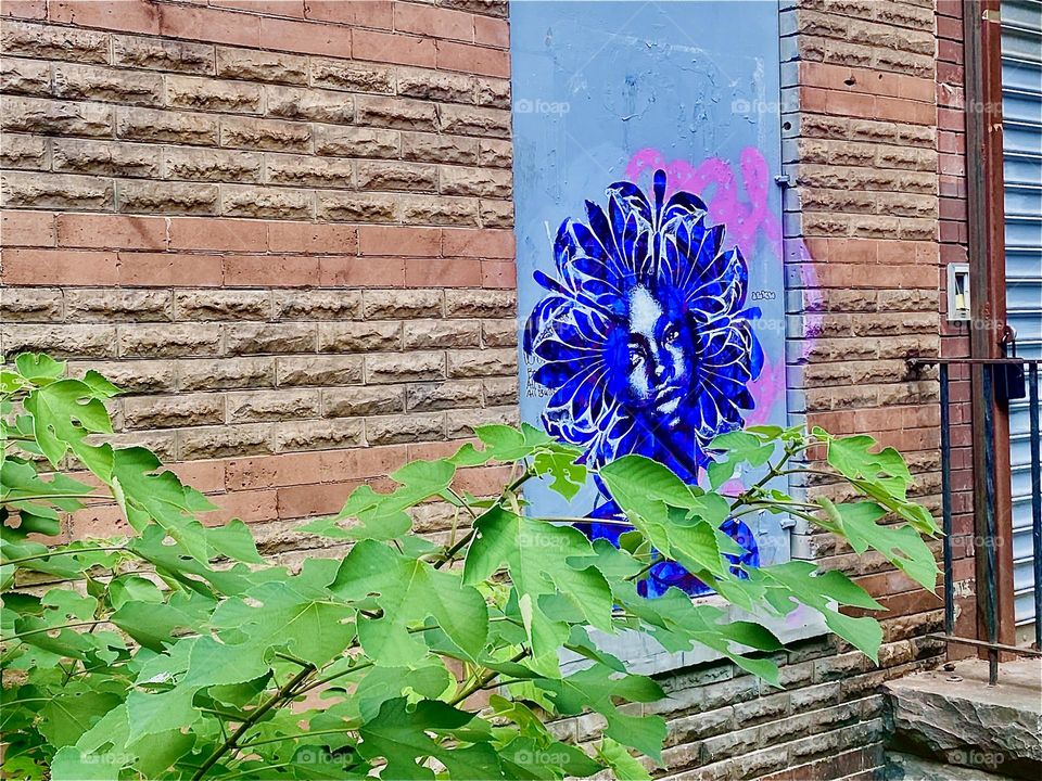 This is a beautiful impression of a newly displayed art print next to the lush green leaves of the neighborhood bushes. Together they look quite lovely. 2023. Hypnotic Productions