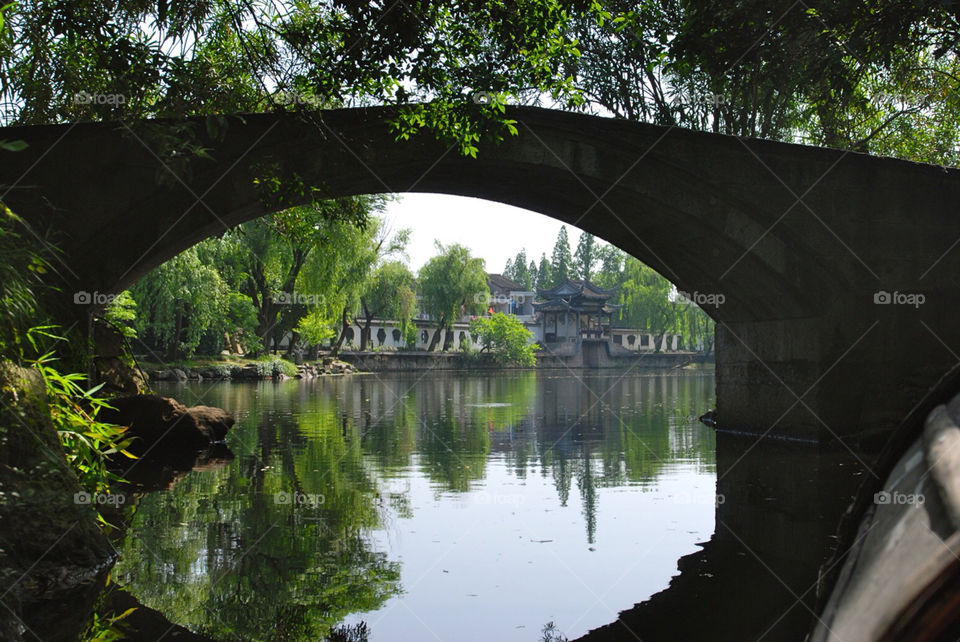 china trees river bridge by cate