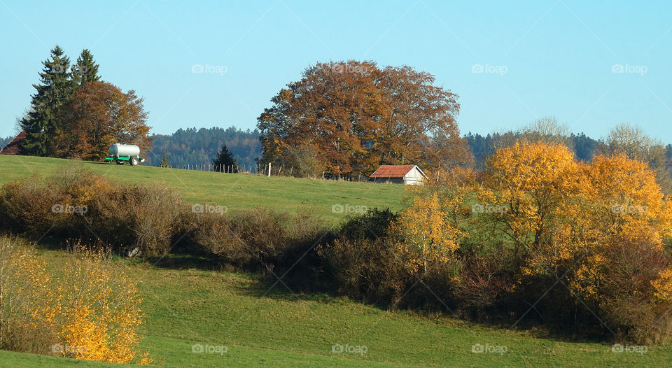 Promenade dans le Val de Morteau