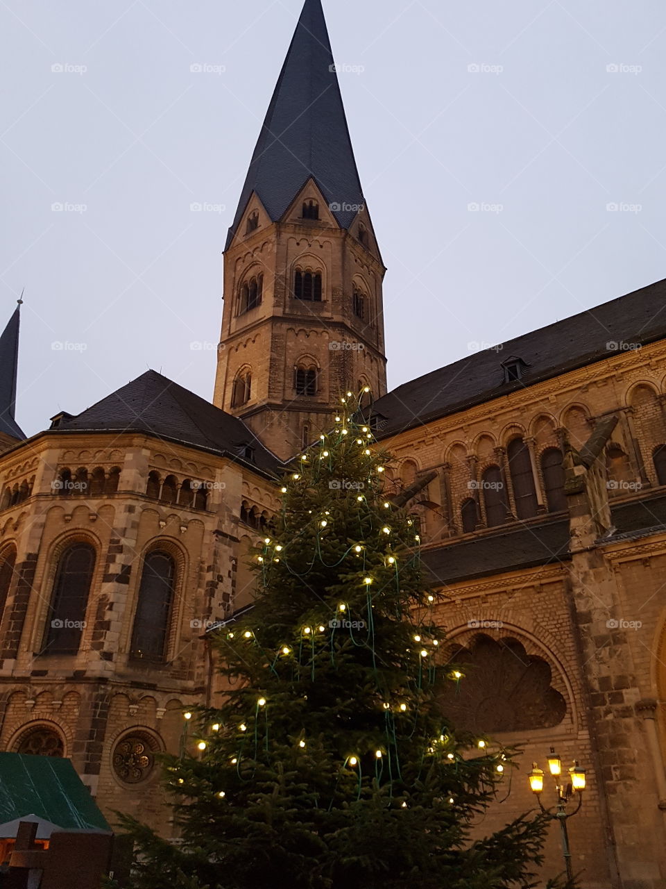 Weihnachtsbaum und die Kirche in Bonn
