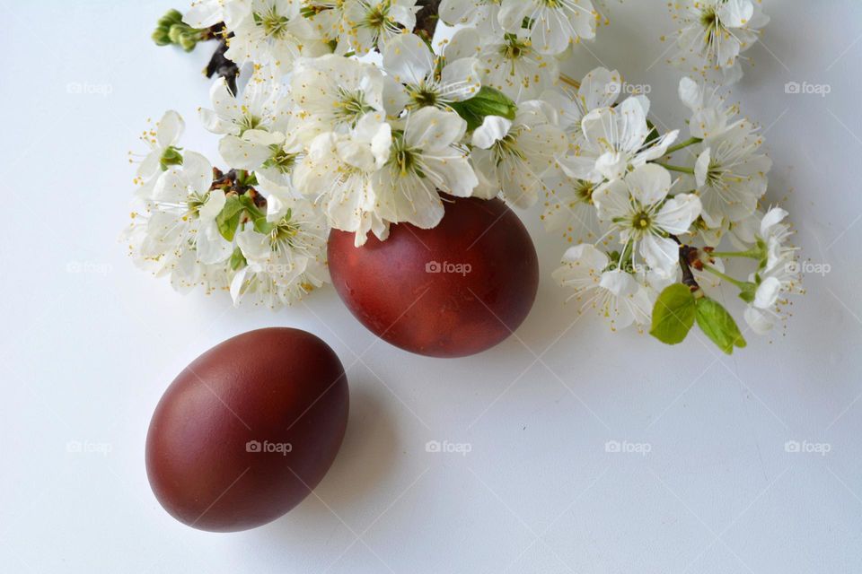 Easter eggs spring holiday