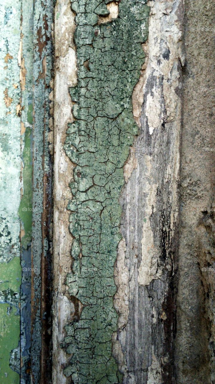 green wooden door with baked on peeling paint