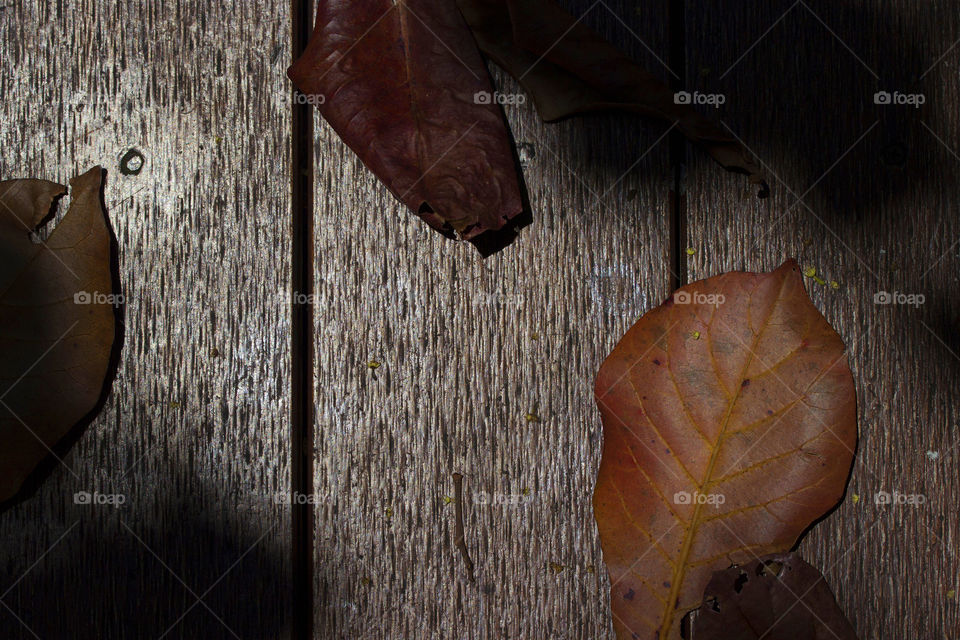 Wooden floor old, Dry leaf,Dry leaves on floor