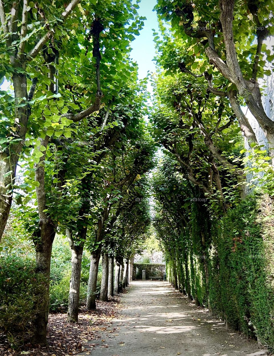 Meaux , jardin de la cathédrale Septembre 2023 . 