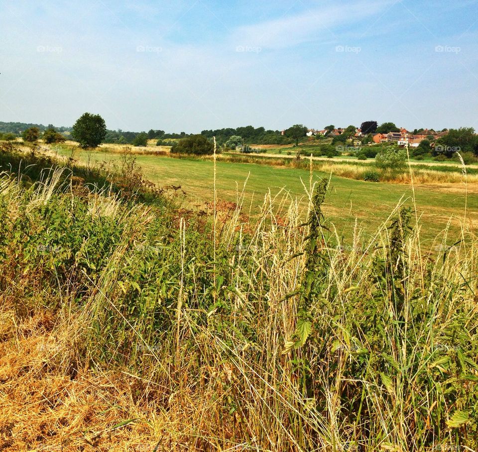 grass united kingdom park fields by hannahdagogo