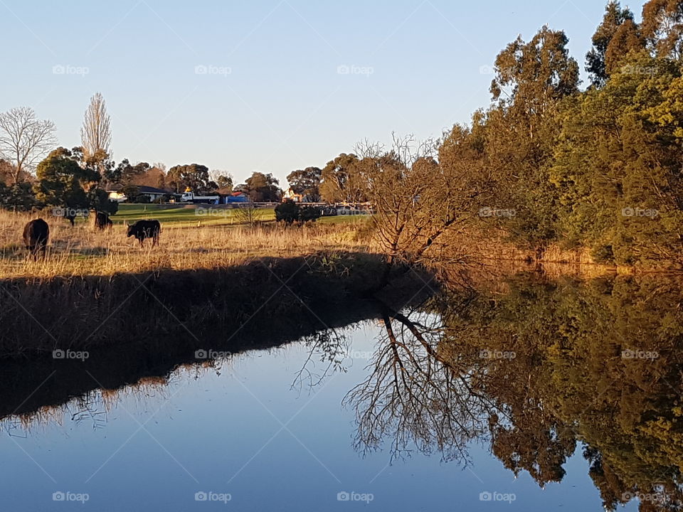 Reflections in Nature