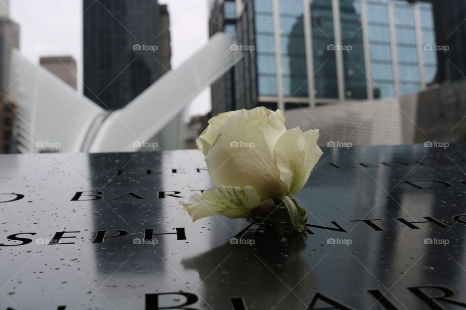 Flower marking the birthday of a 911 victim. 