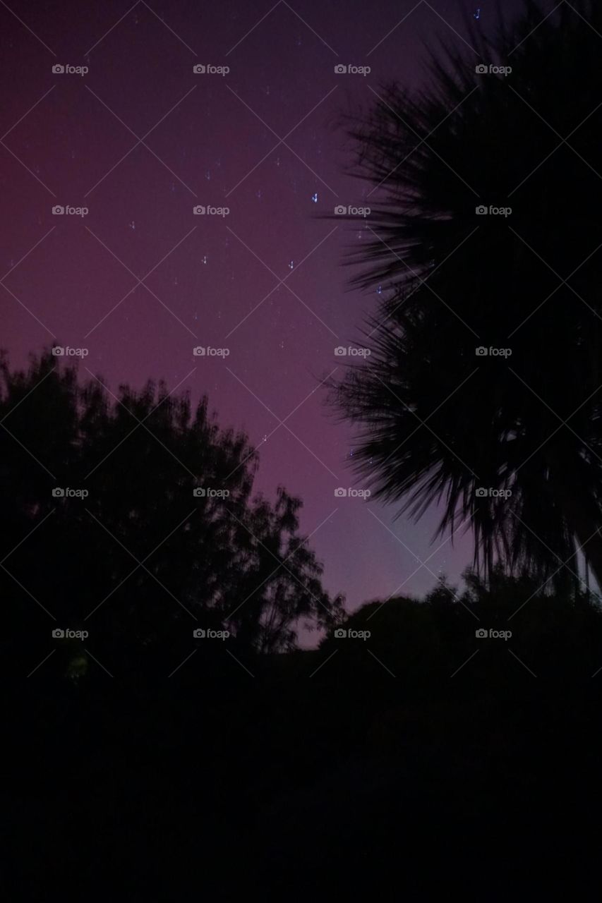 Beautiful purple with a hint of green … Nirthern Lights October 2024