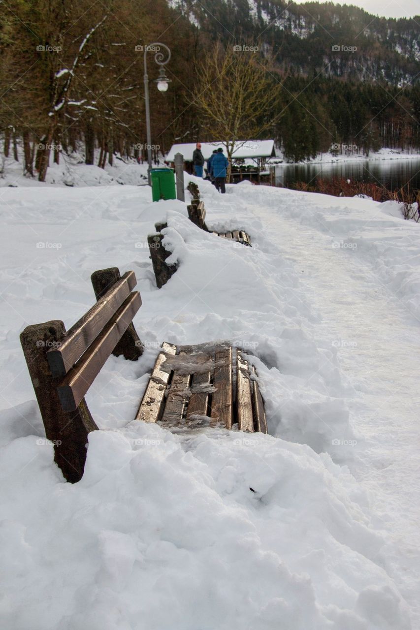 Bench covered by the snow