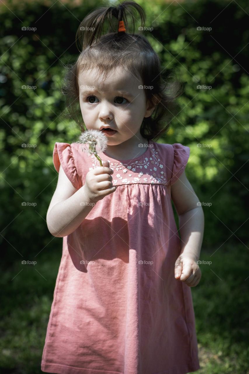 Portrait of one beautiful little caucasian baby girl with a dandelion in her hands looking away and standing in a rarque on a summer sunny day in the park, close-up side view.