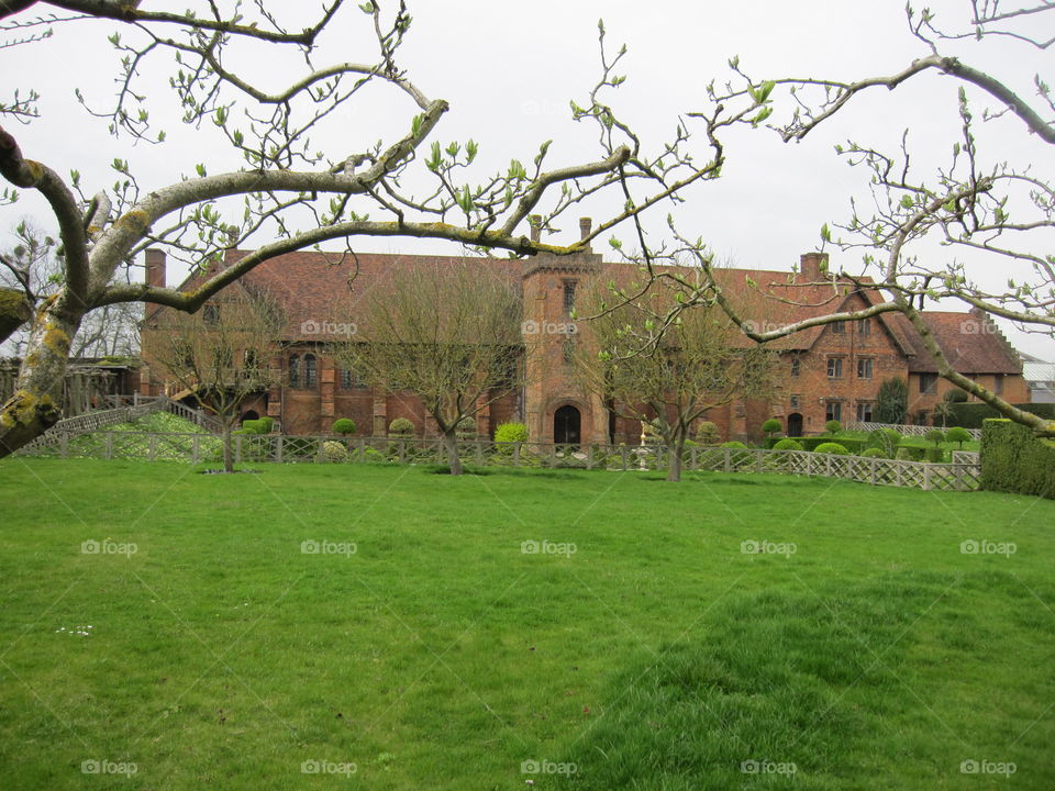 Grass, Tree, House, Building, Landscape