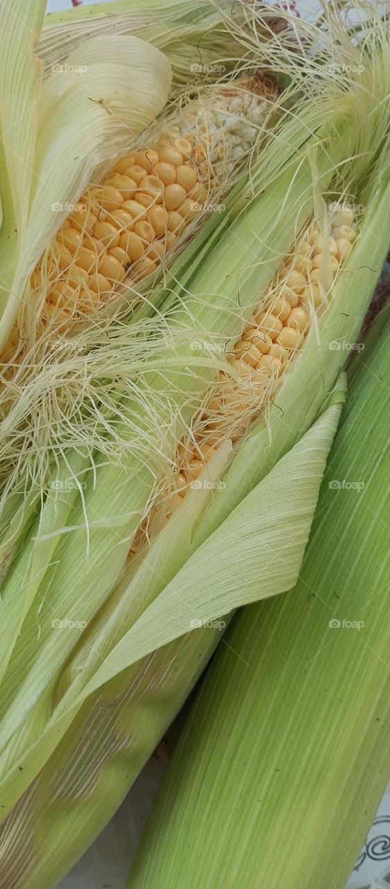 corn