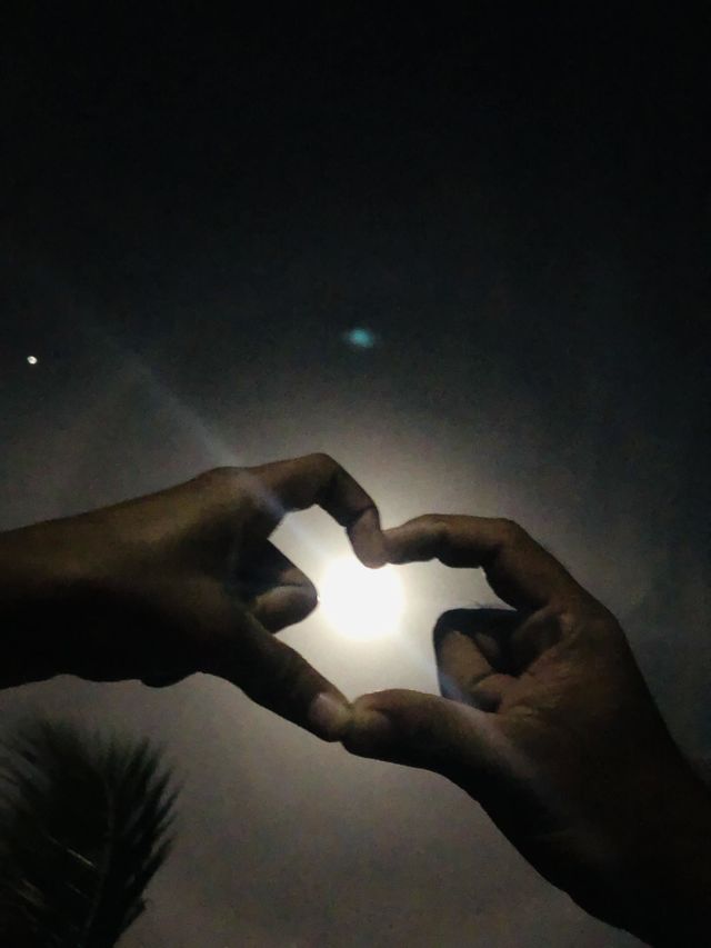 Moon light❤️