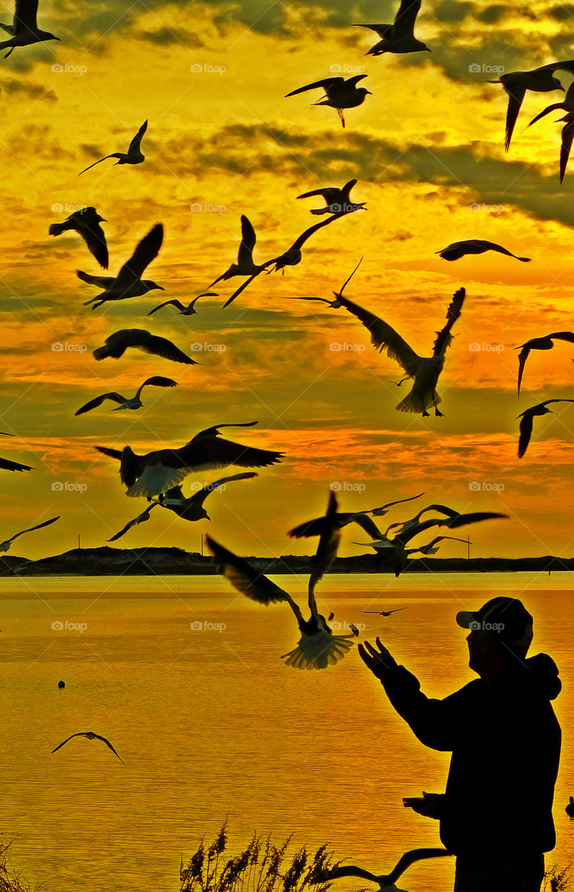 Incredible Sunset! There is nothing as diverse as nature itself. It is a beautiful place; and it is everywhere. I am a haunter of nature who loves its beauty and solitude. Take a deep breath, relax, open your eyes, and enjoy the ride through my beautiful world of nature!