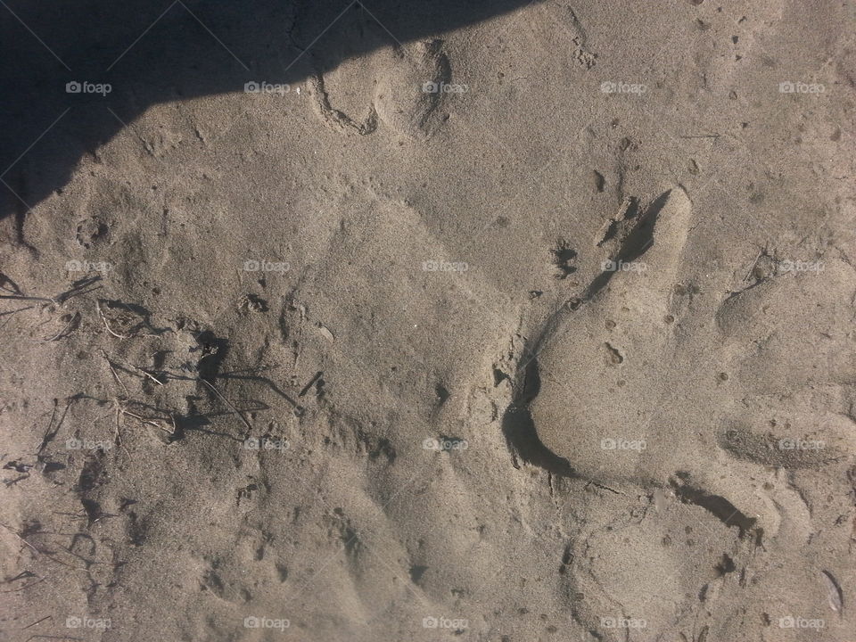 No Person, Sand, Desert, Texture, Footprint