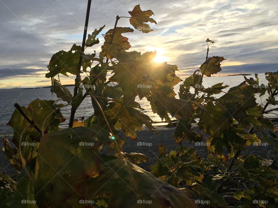 Sunshine on an early morning in October