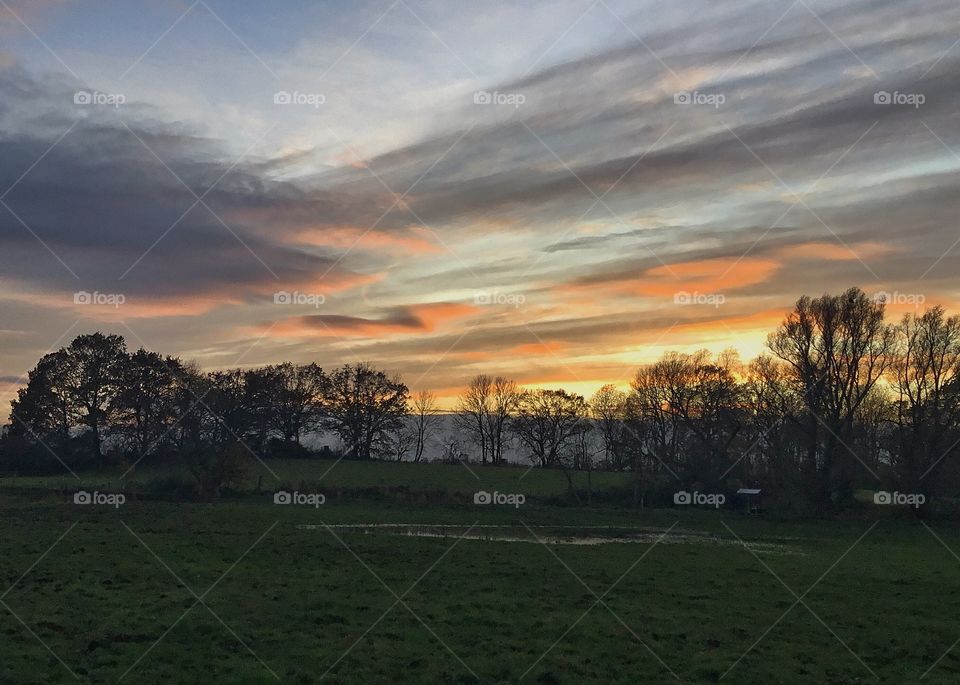 LSD fr the eye or just acknowledged simplicity equaling beauty...grace and what not...