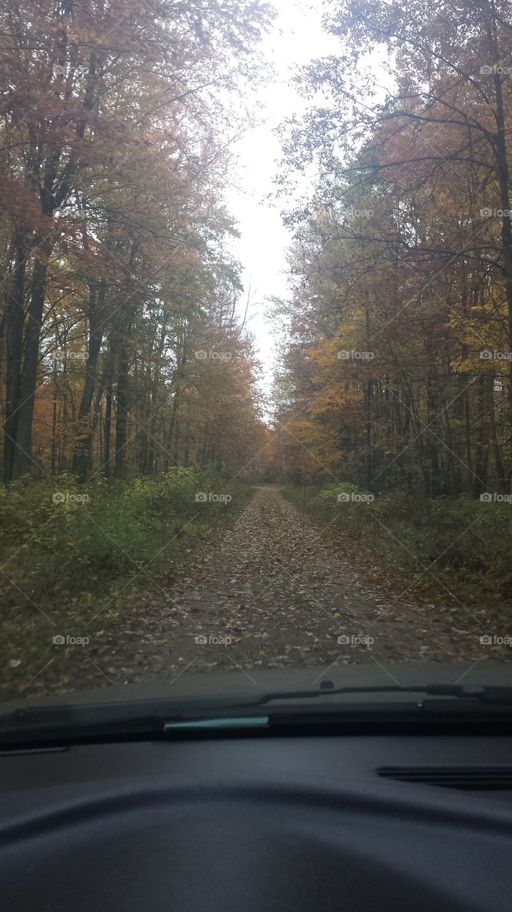 Fall driveway