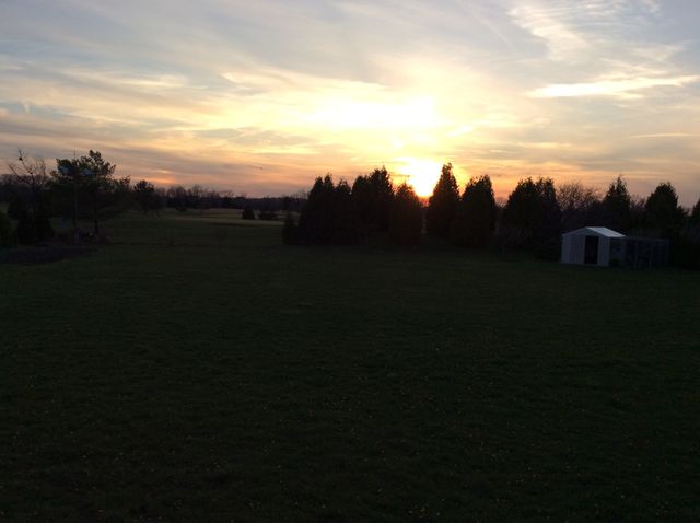 sunset
