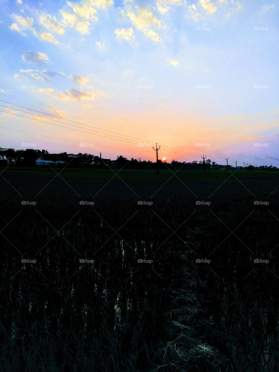 sun setting evening time