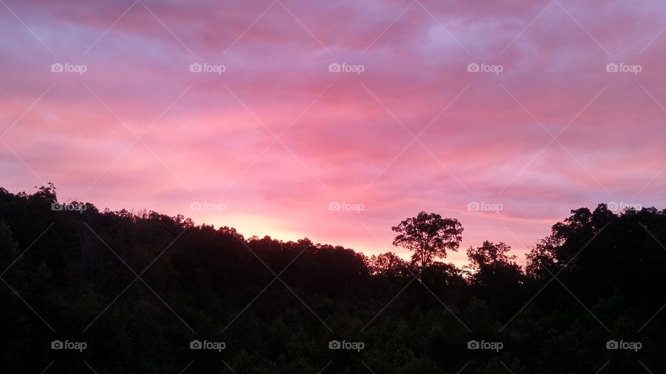 purple sunrise