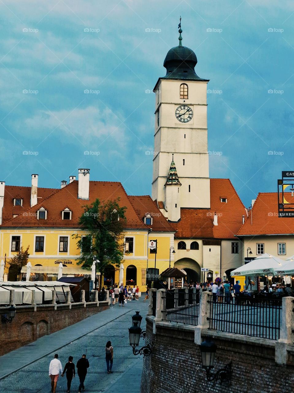 advice market in Sibiu