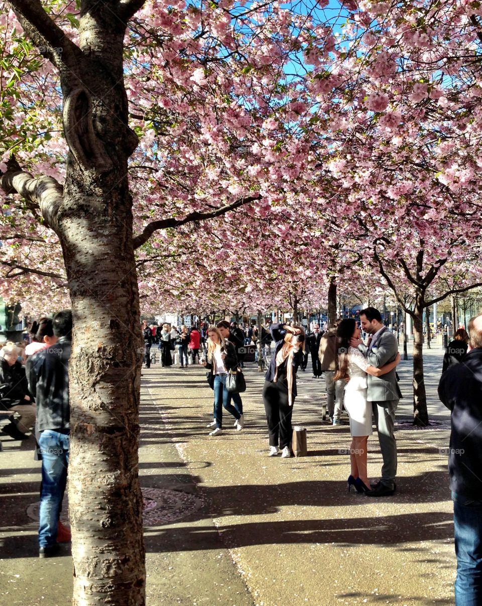 People injouy spring . Spring in the Stockholms city! 