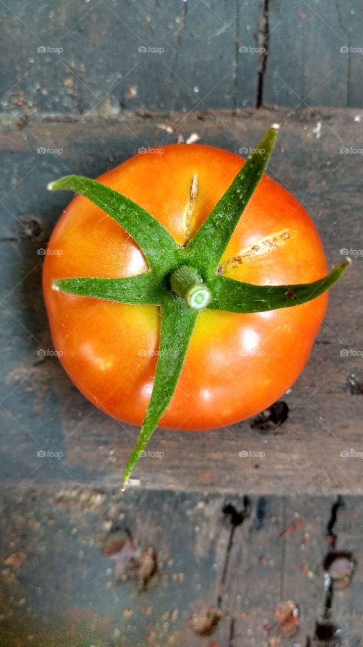 tomate