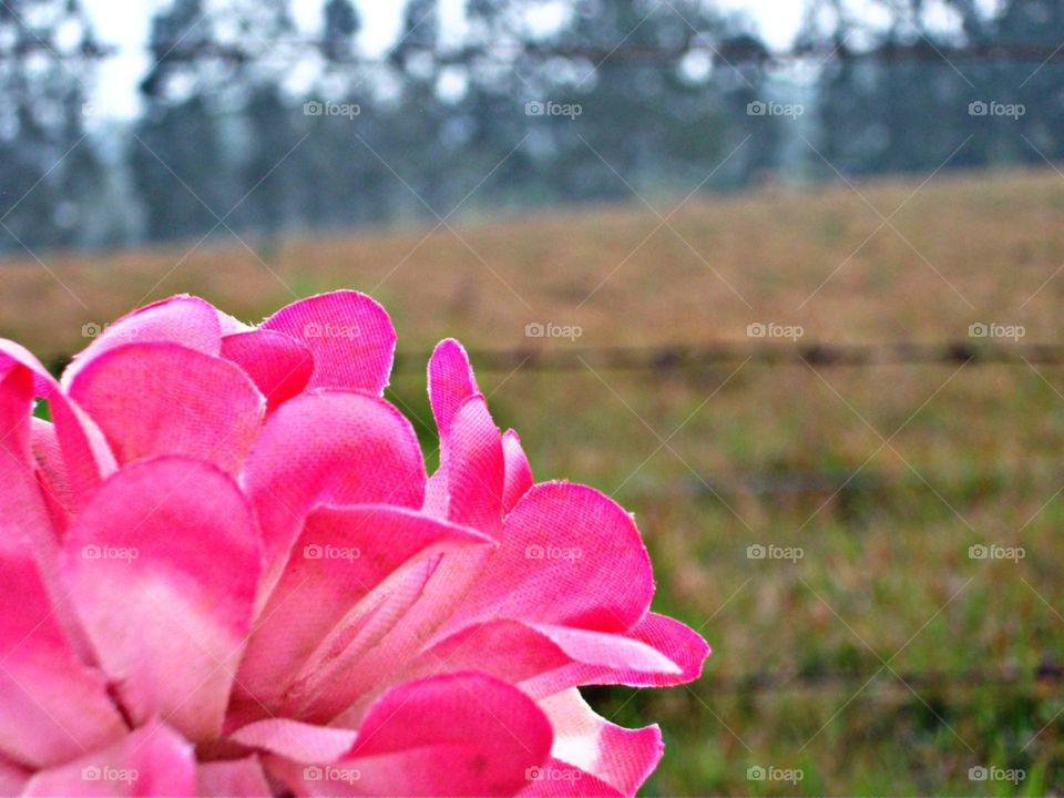 Artificial ante a serra de arvores reais.