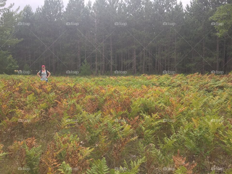 Hike in northern Michigan 