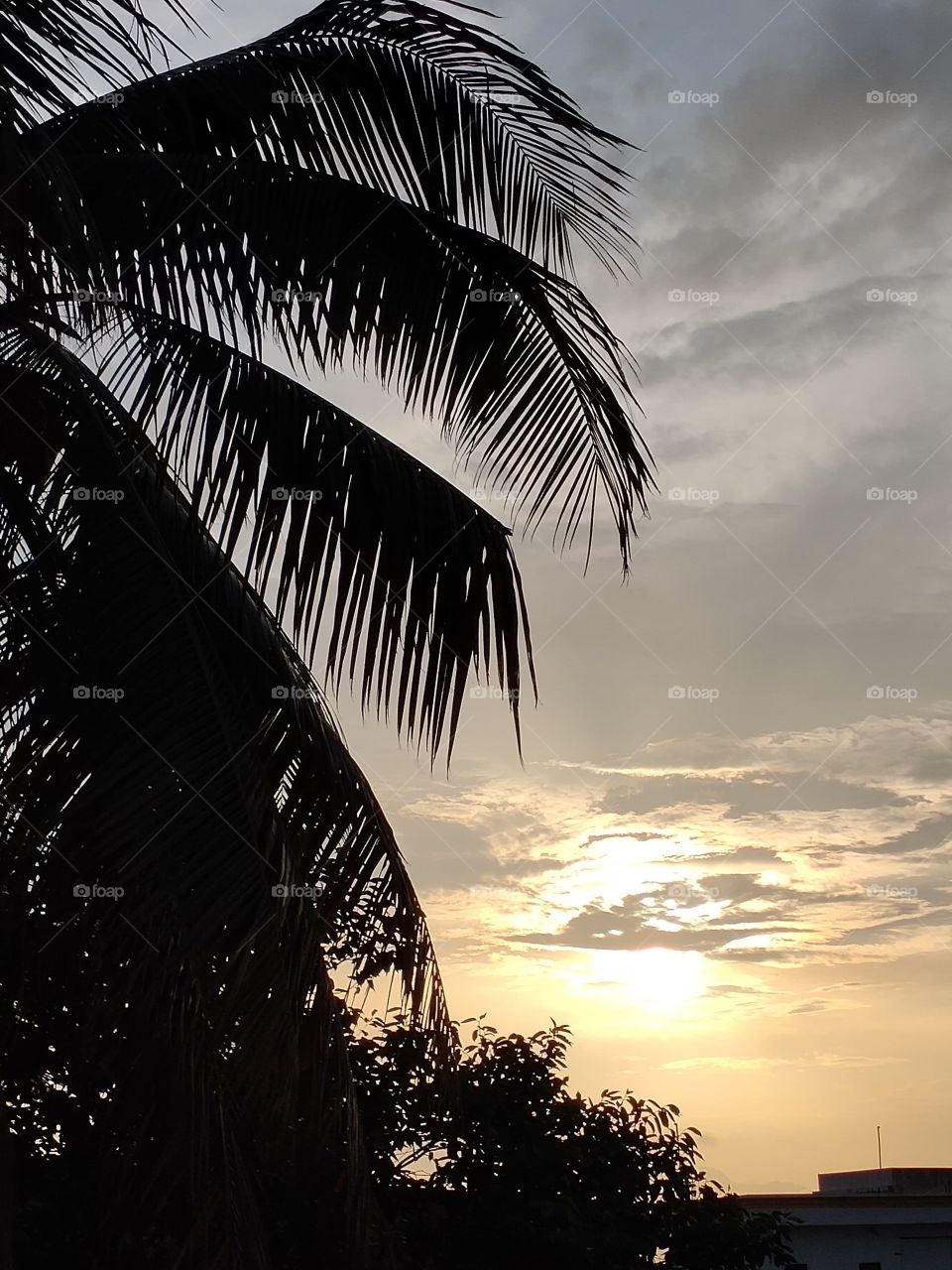 Magic of Natural art on sky's with clouds and sunset shines, it's always loved to watch the amazing natural painting