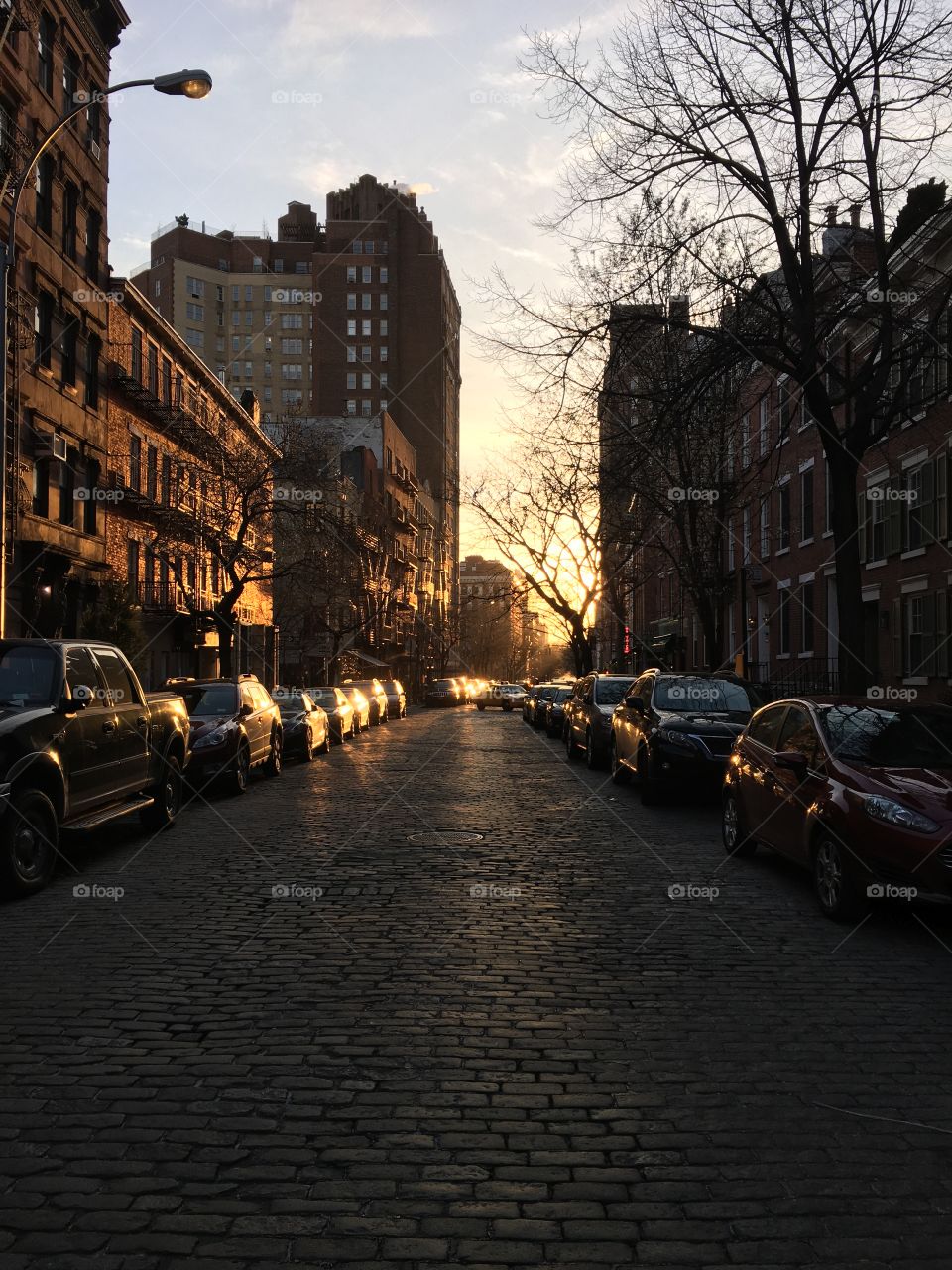 Golden hour in the West Village 
New York, NY