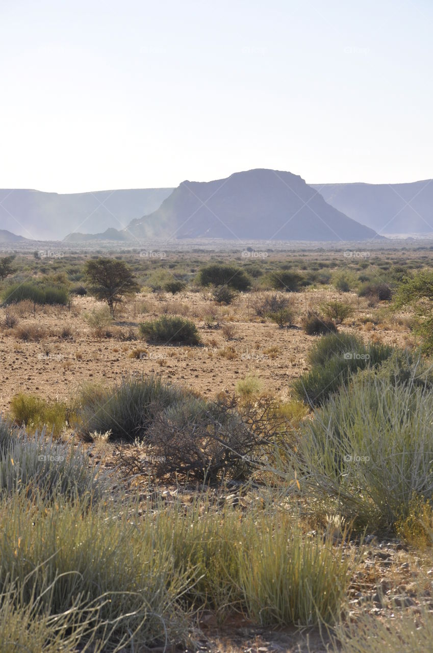 Namibian desert perspective